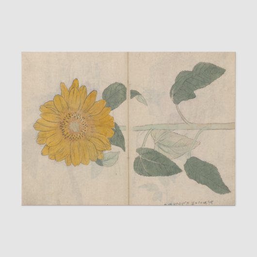 Schetsboek Pl. 103 door Ariyoshi Kondo Tissuepapier (Voorkant)