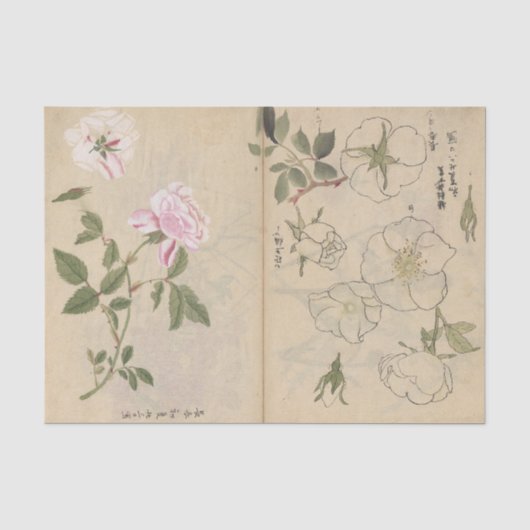 Schetsboek Pl. 107 door Ariyoshi Kondo Tissuepapier (Voorkant)