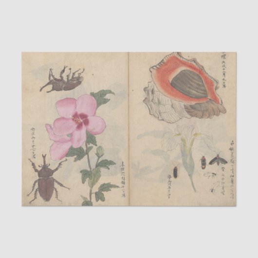 Schetsboek Pl. 108 door Ariyoshi Kondo Tissuepapier (Voorkant)
