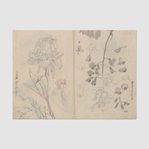 Schetsboek Pl. 110 van Ariyoshi Kondo Tissuepapier