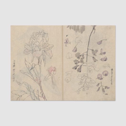 Schetsboek Pl. 110 van Ariyoshi Kondo Tissuepapier (Voorkant)