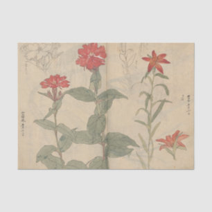 Schetsboek Pl. 111 door Ariyoshi Kondo Tissuepapier