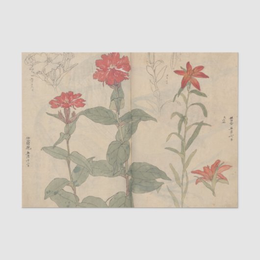 Schetsboek Pl. 111 door Ariyoshi Kondo Tissuepapier (Voorkant)