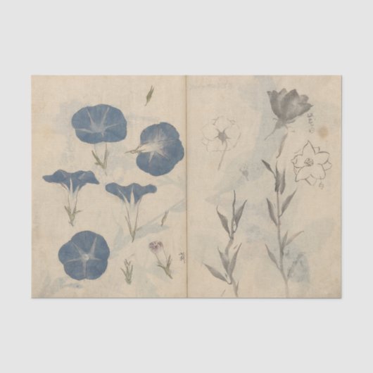 Schetsboek Pl. 112 door Ariyoshi Kondo Tissuepapier (Voorkant)