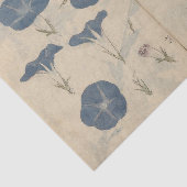 Schetsboek Pl. 112 door Ariyoshi Kondo Tissuepapier (Detail)