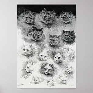 Schetsen van de kat, Louis Wain Poster