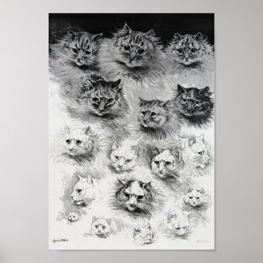 Schetsen van de kat, Louis Wain Poster (Voorkant)