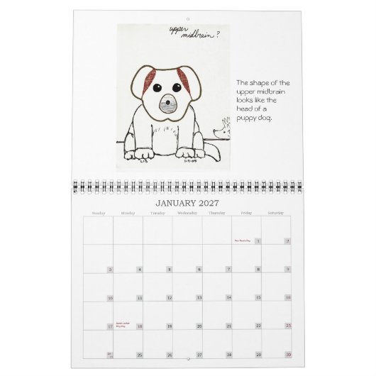 Schetsen voor medische scholen 2007 kalender (Jan 2027)