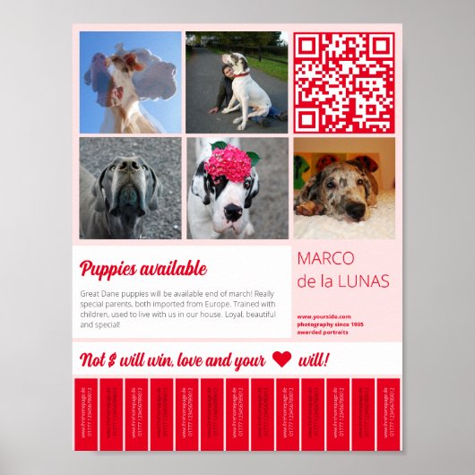 Scheur af afdrukbare puppy's te koop flyer sjabloo poster (Voorkant)