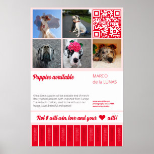 Scheur afdrukbare puppy's te koop flyer sjabloon poster