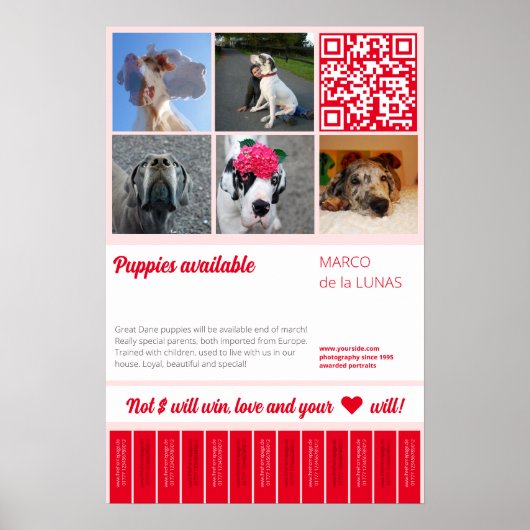 Scheur afdrukbare puppy's te koop flyer sjabloon poster (Voorkant)