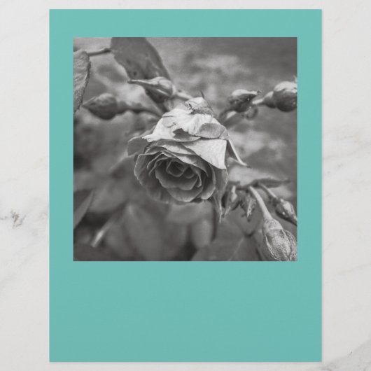 Scheur Flyer vierkante afbeeldingen af (Achterkant)