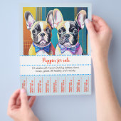 Scheur Franse Bulldog Puppy  Flyer (Hand)