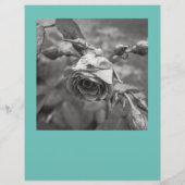 Scheur off flyer vierkante afbeeldingen (Achterkant)