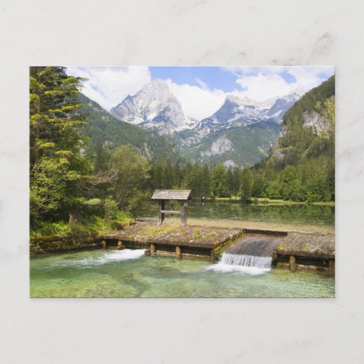 Schiederweiher, Oberösterreich Briefkaart (Voorkant)