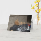 Schift Tzu Kaart (Gele Bloem)