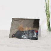 Schift Tzu Kaart (Voorkant)