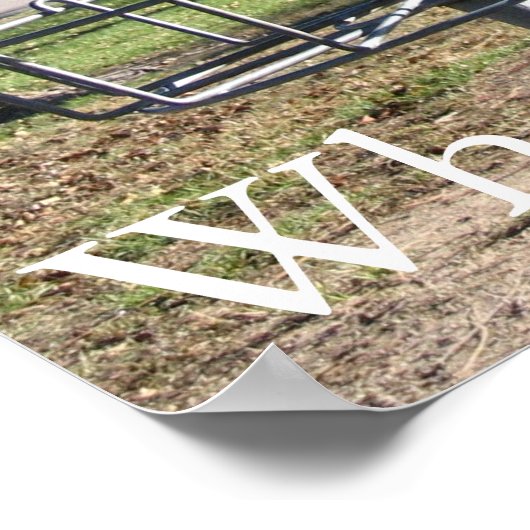 Schijf Golf Poster (Hoek)