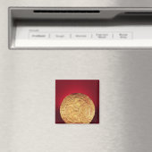 Schijf mogelijk gebruikt als broche, van Tedavnet Magneet (Insitu (Vaatwasser))