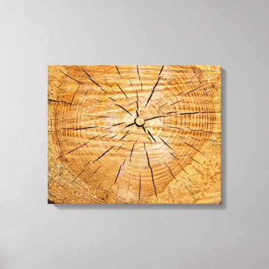 Schijf van het leven canvas afdruk (Voorkant)