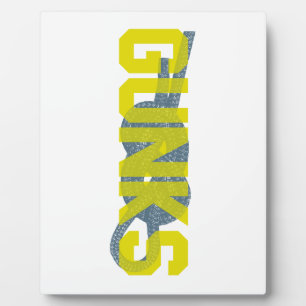 Schijkweerstand Fotoplaat