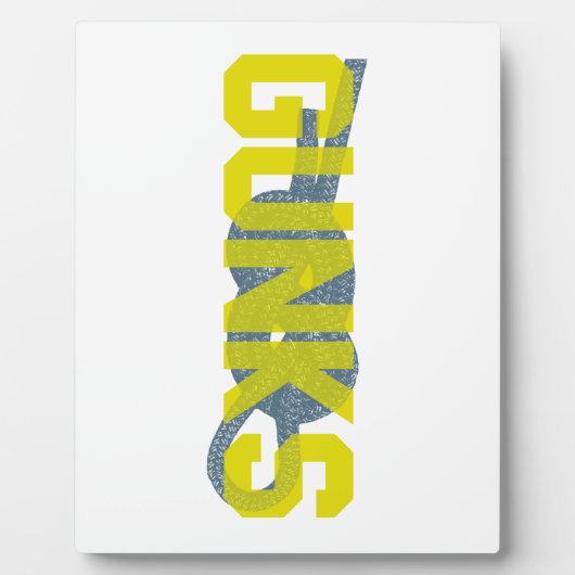 Schijkweerstand Fotoplaat (Voorkant)