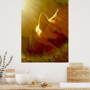 Schijn op mij Duitse Herdershond #1 Poster