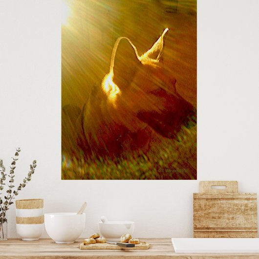 Schijn op mij Duitse Herdershond #1 Poster (Keuken)