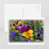 Schijnpannen Briefkaart (Voorkant / Achterkant)