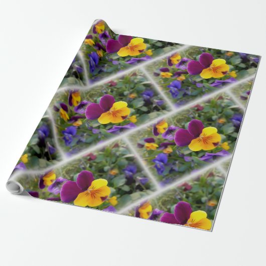 Schijnpannen Cadeaupapier (Uitgerold)