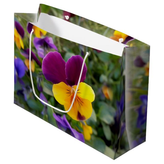 Schijnpannen Groot Cadeauzakje (Voorkant Gekanteld)