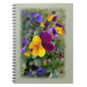 Schijnpannen Notitieboek (Voorkant)