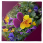 Schijnpannen Tegeltje (Voorkant)