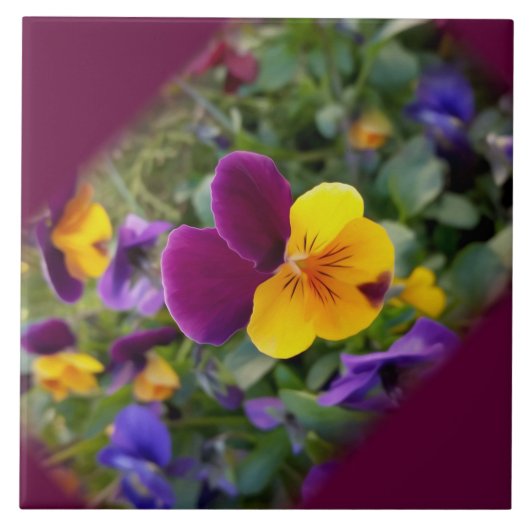 Schijnpannen Tegeltje (Voorkant)