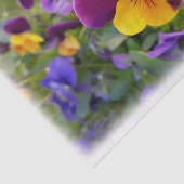 Schijnpannen Tissuepapier (Detail)