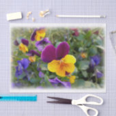 Schijnpannen Tissuepapier (Craft)