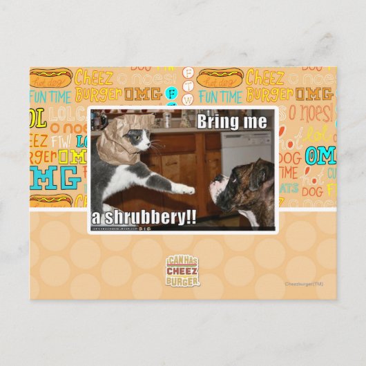 Schijnwerper Briefkaart (Voorkant)