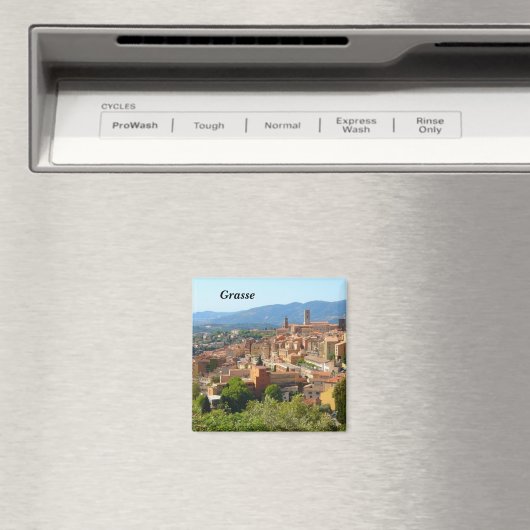 Schil - magneet (Insitu (Vaatwasser))