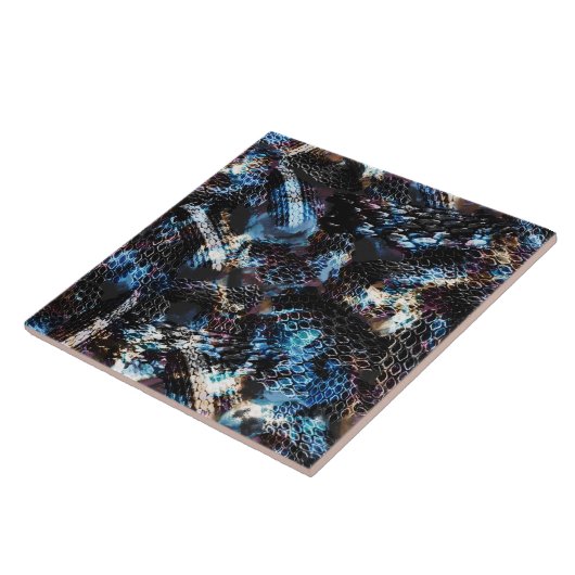 Schil Tegeltje (Zijkant)