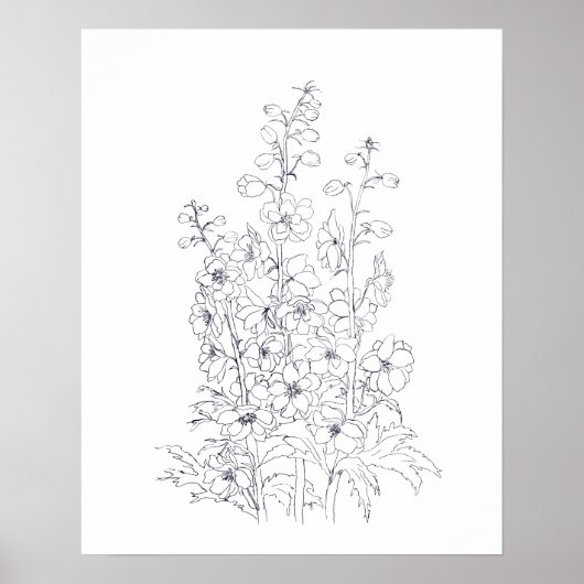 schil van delfinium larkspur poster (Voorkant)