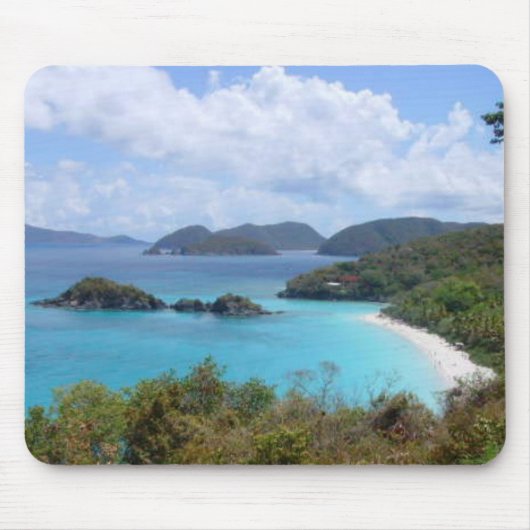 Schildbaai Muismat (Voorkant)