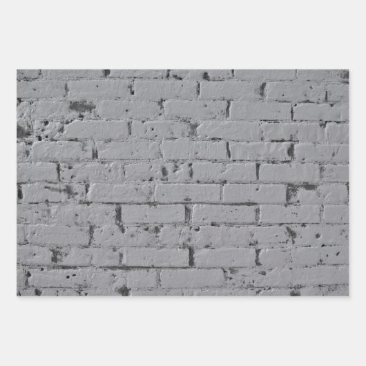 Schildbakwandvariëteit Inpakpapier Vel (Voorkant 2)