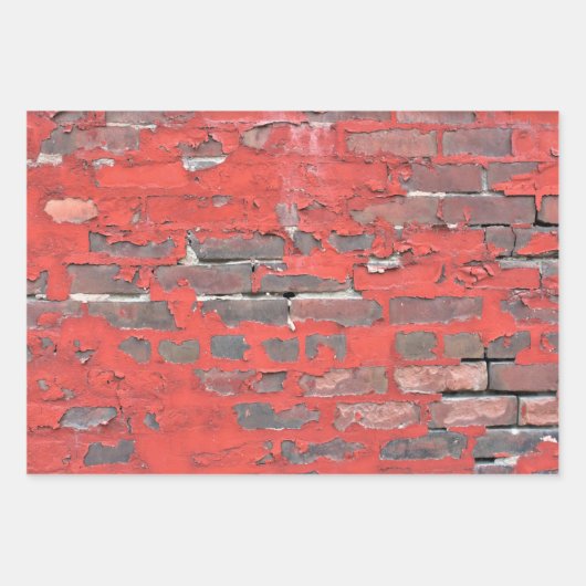 Schildbakwandvariëteit Inpakpapier Vel (Voorkant)