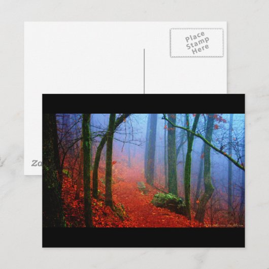 Schildbos herfst blauwe mist briefkaart (Voorkant / Achterkant)