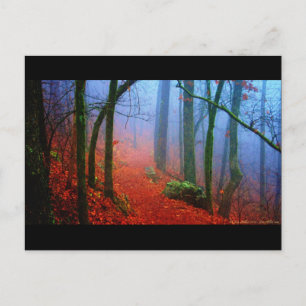 Schildbos herfst blauwe mist briefkaart
