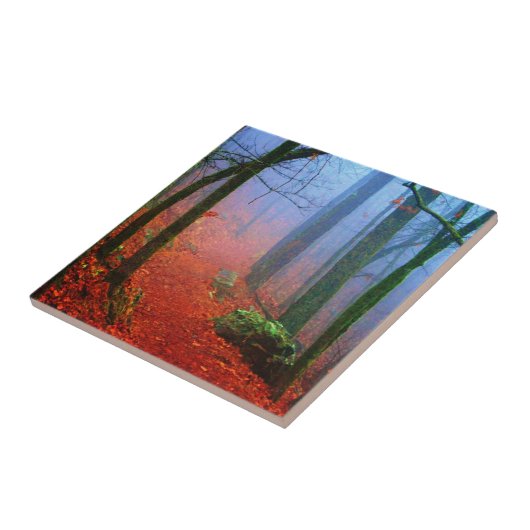 Schildbos herfst blauwe mist tegeltje (Zijkant)