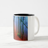 Schildbos herfst blauwe mist tweekleurige koffiemok (Voorkant rechts)