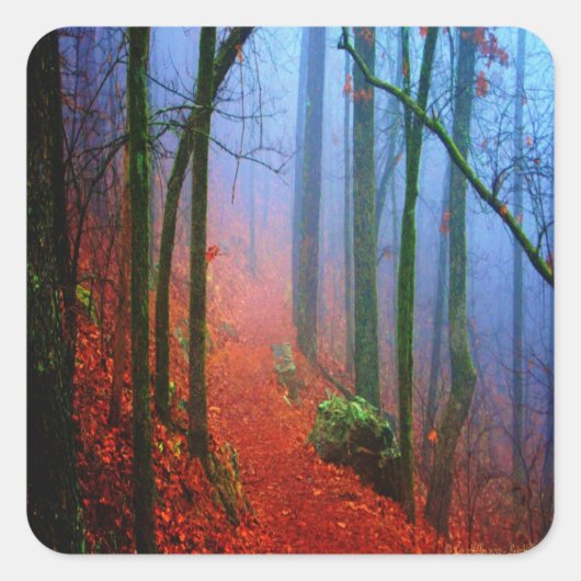 Schildbos herfst blauwe mist vierkante sticker (Voorkant)