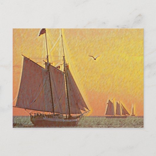 Schildboten Briefkaart (Voorkant)