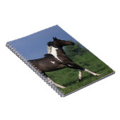 Schilder Paard Rennen 2 Notitieboek (Rechterzijde)